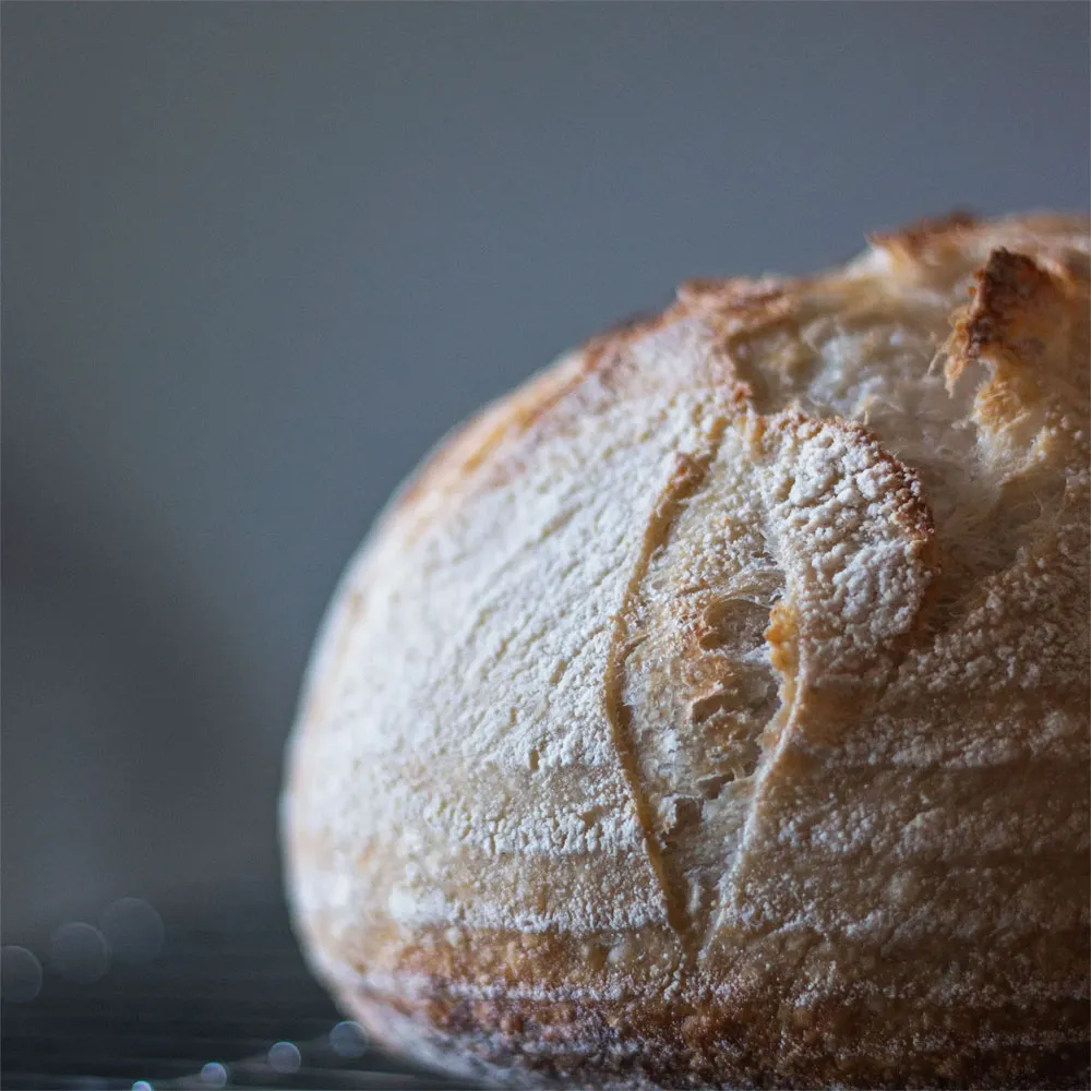 インスタグラム1